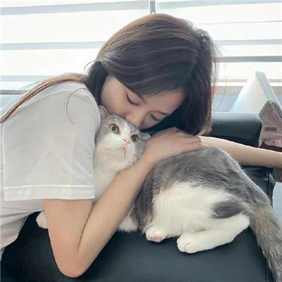 吃土的十二个月