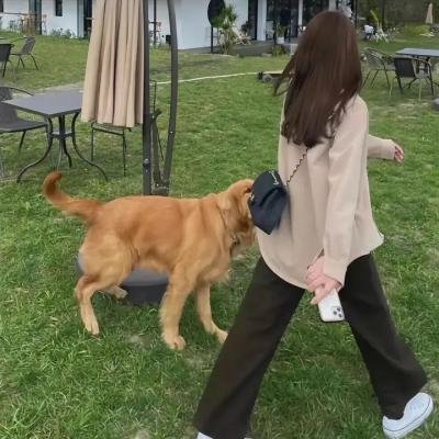 街霸竞技场